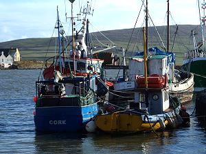 Dingle harbour